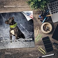 Vista 1206 de Razas de Perros 2017