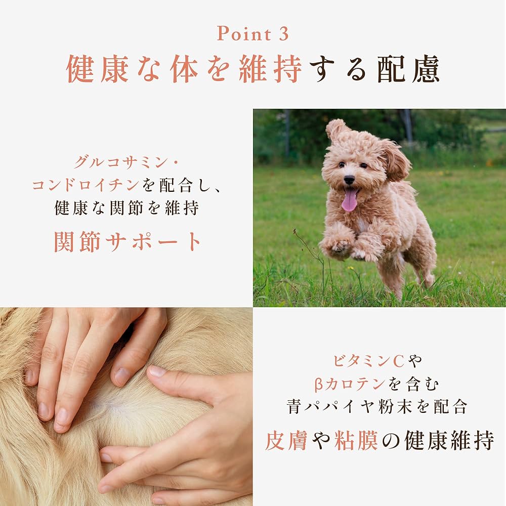 Amazon.co.jp: ［獣医師共同開発］ 犬猫生活 ドッグフード