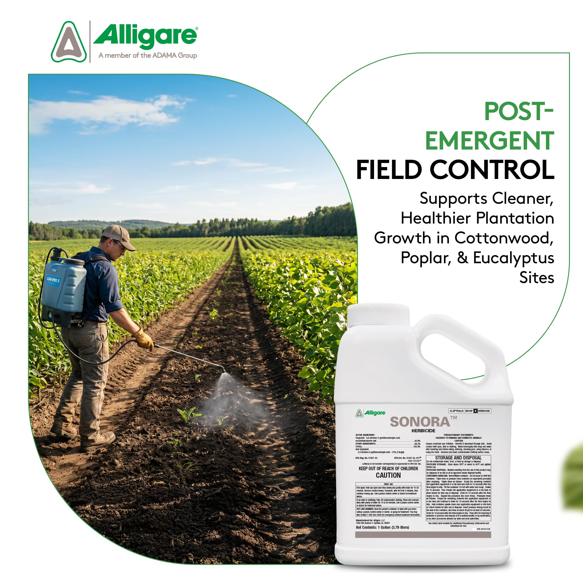 Amazon.com : ALLIGARE Sonora Broadleaf Weed Killer - Selective  Post-Emergent Weed Killers for Weeds & Woody Brush - Effective on Thistle,  Locust, Kudzu - Vegetation Killer with No Grazing Restriction - 1