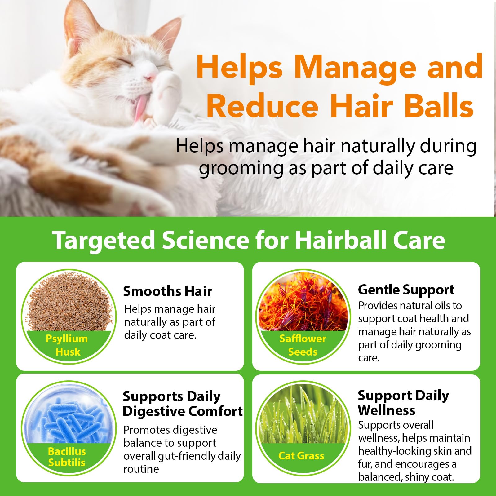 Hairball Trattamento Per Gatti E Gattini, Cat Hairball Remedy, Hairball Support Gocce Sollievo Con Psyllium Husk, Vitamine Per Gatti Lunghi E Brevi Peli, Nutre Capelli E Riduce La Secchezza 60Ml