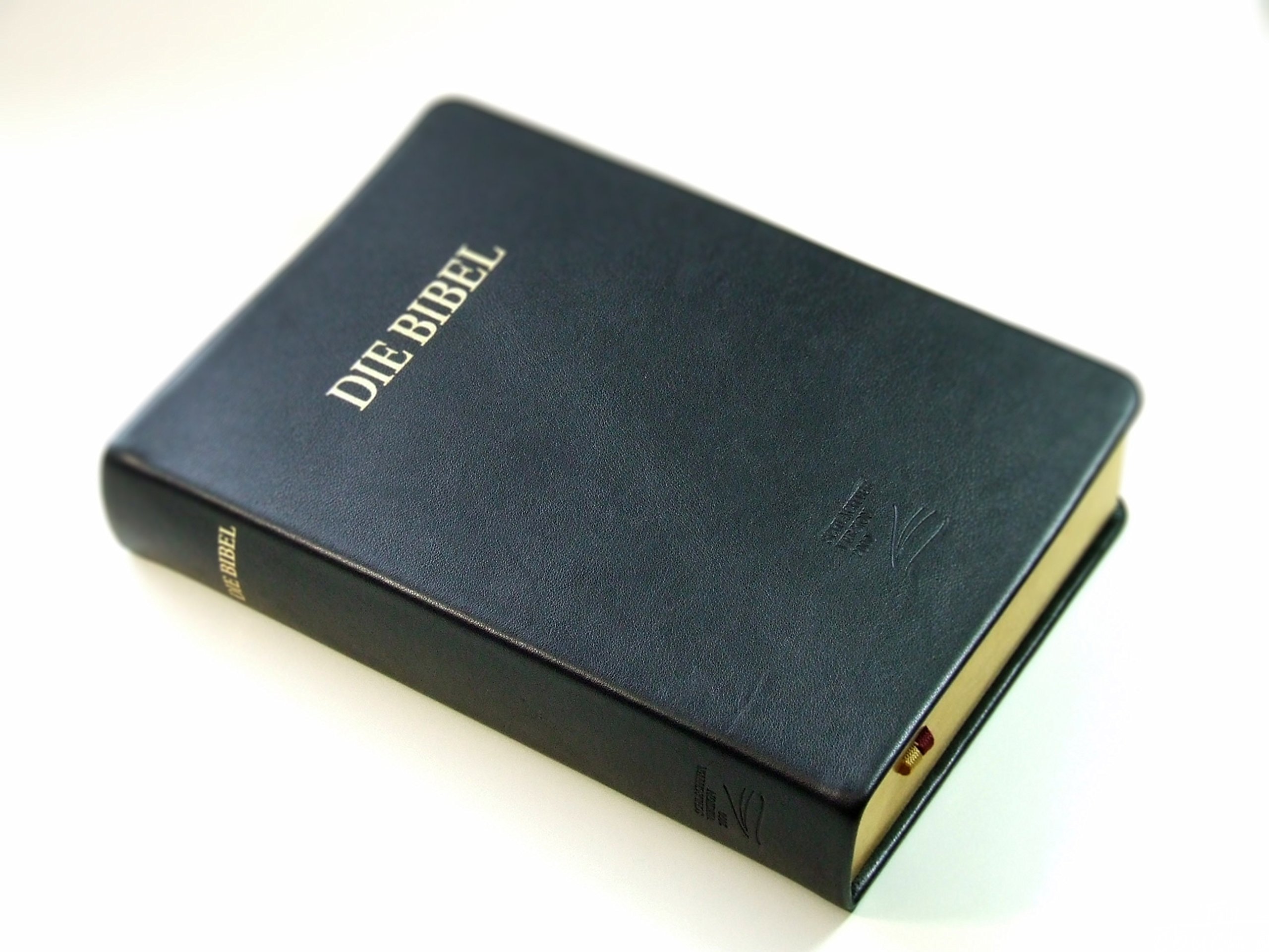 Schlachter 2000 Bibel - Großdruckausgabe (Softcover, schwarz, Goldschnitt): Großdruckausgabe, Rindleder-Einband (flexibel), Goldschnitt, Fadenheftung / ohne Parallelstellen
