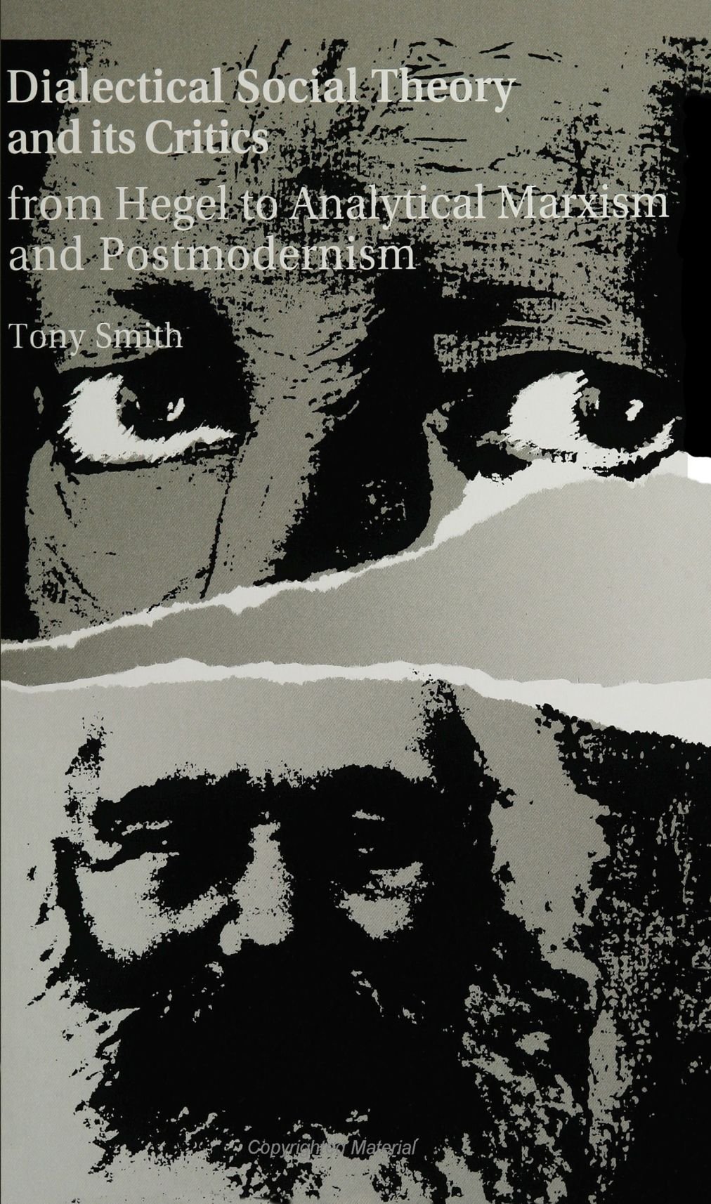 Dialectical Social Theory and Its Critics: From Hegel to Analytical Marxism and Postmodernism (SUNY Series in Radical Social and Political Theory)