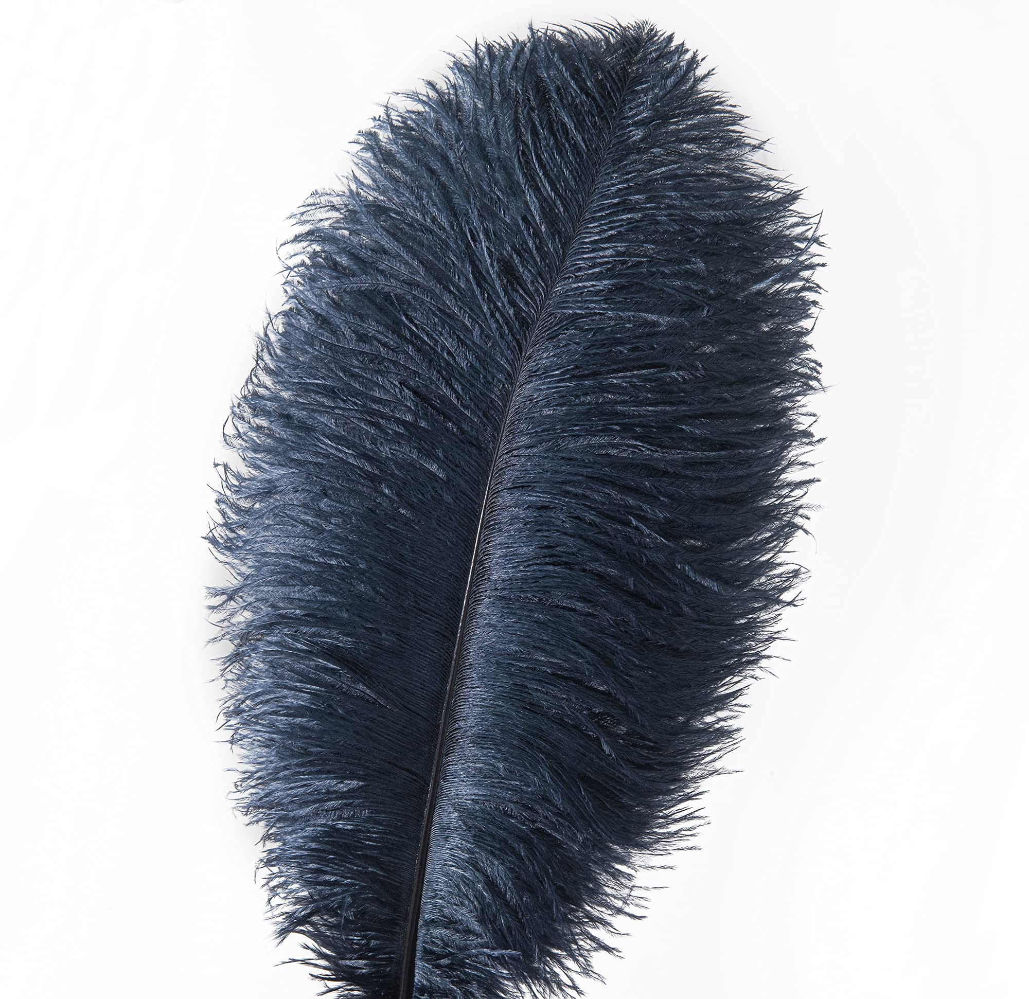 Strusie pióra do rękodzieła i dekoracji 24 szt. Wielokolorowe, wiele rozmiarów(Navy Blue,10-12 inch - 24Pcs)