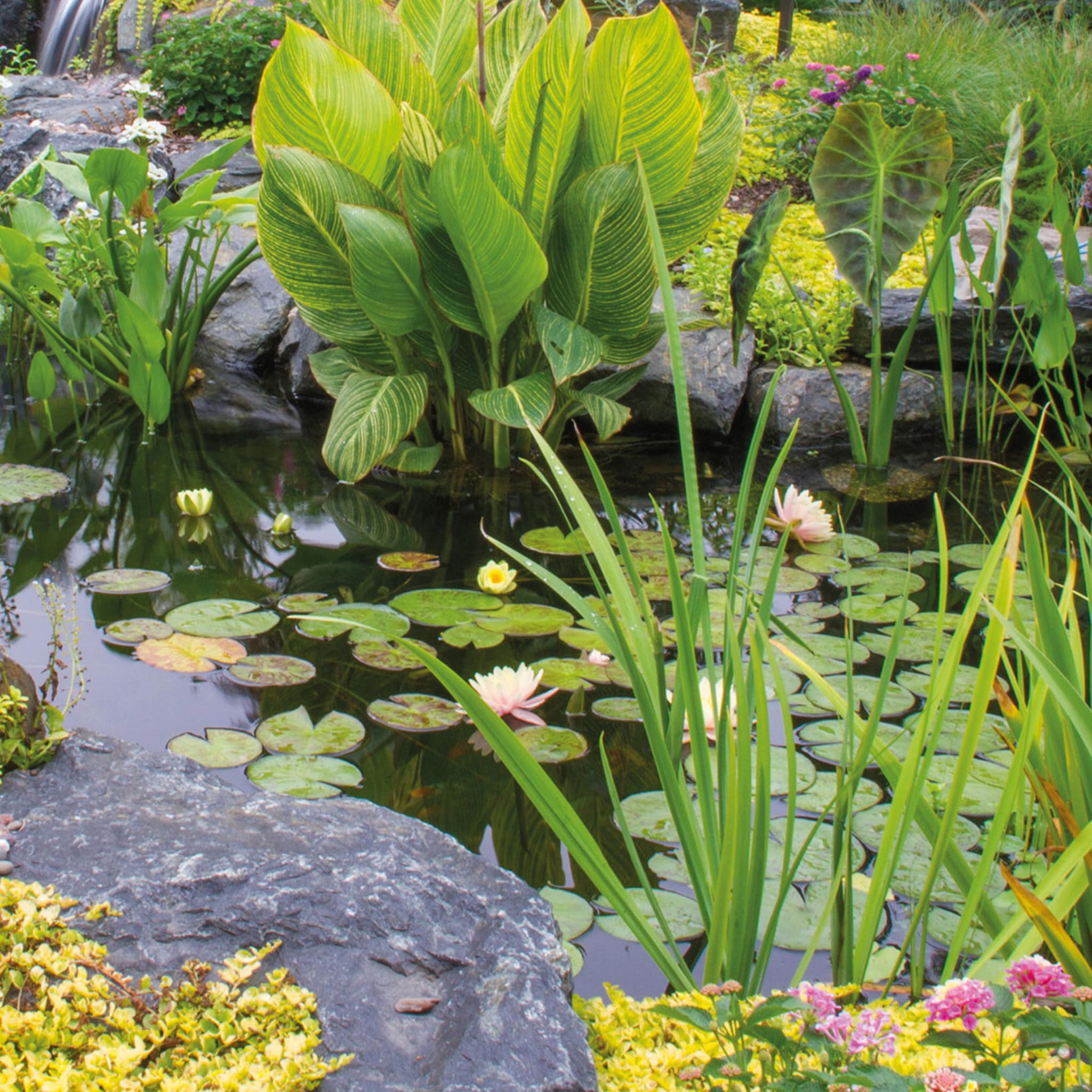 velda - 122475 - CO2 effervescent tablets for garden ponds, CO2 tabs, for 4000 litres of water, beige