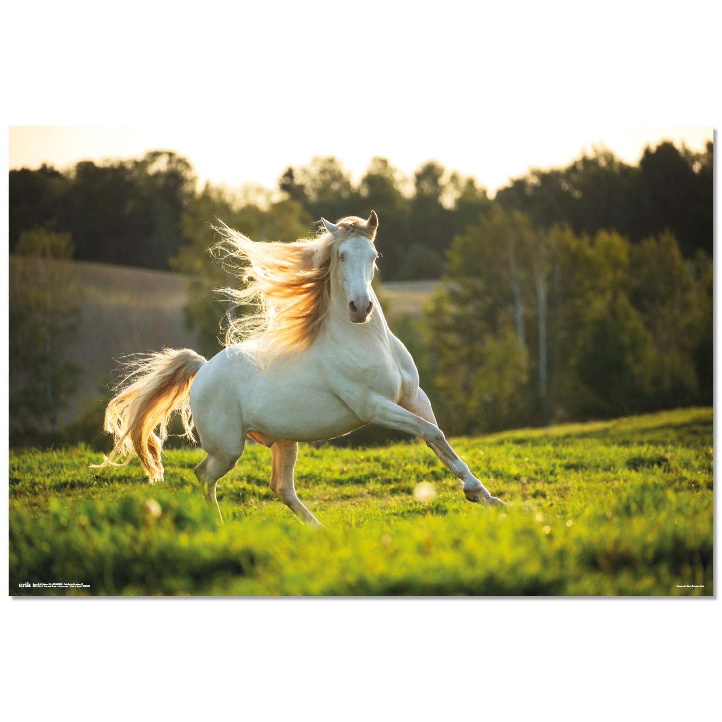 Official White Horse Poster - 35.8 x 24.2 inches / 91 x 61.5 cm