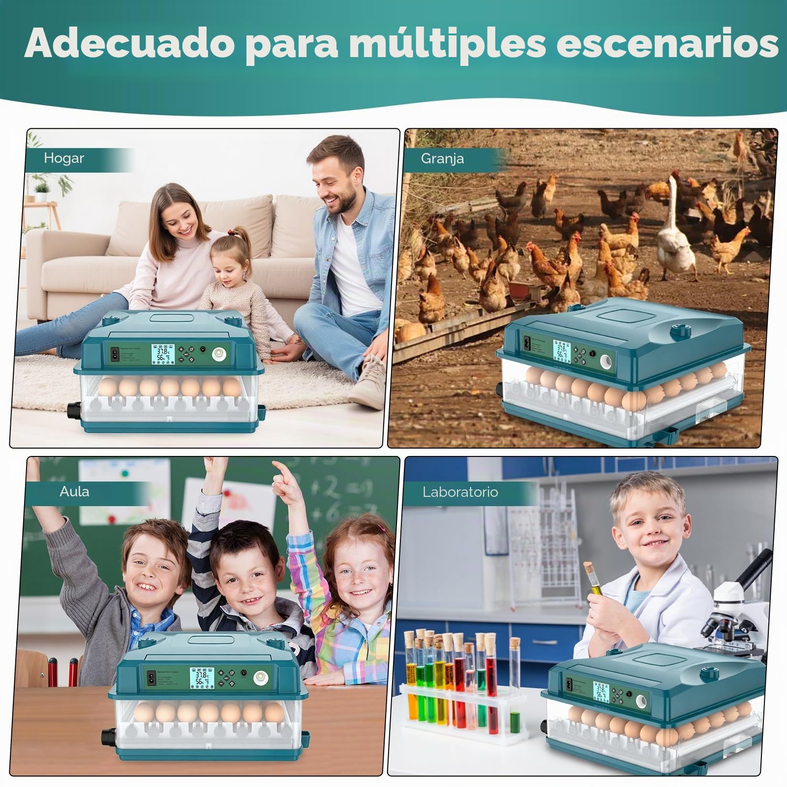 Incubadora automática para 36 huevos, 4 modos automáticos, Incubadora eléctrica - Volteo automático y suministro automático de agua - Control inteligente de temperatura - Doble alimentación (B)