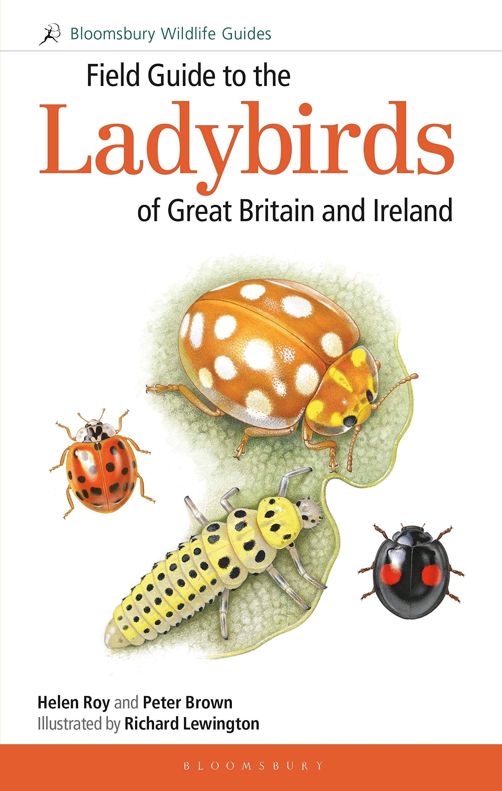 Buy Field Guide to the Ladybirds of Great Britain and Ireland (Field Guides) — BookShops.in