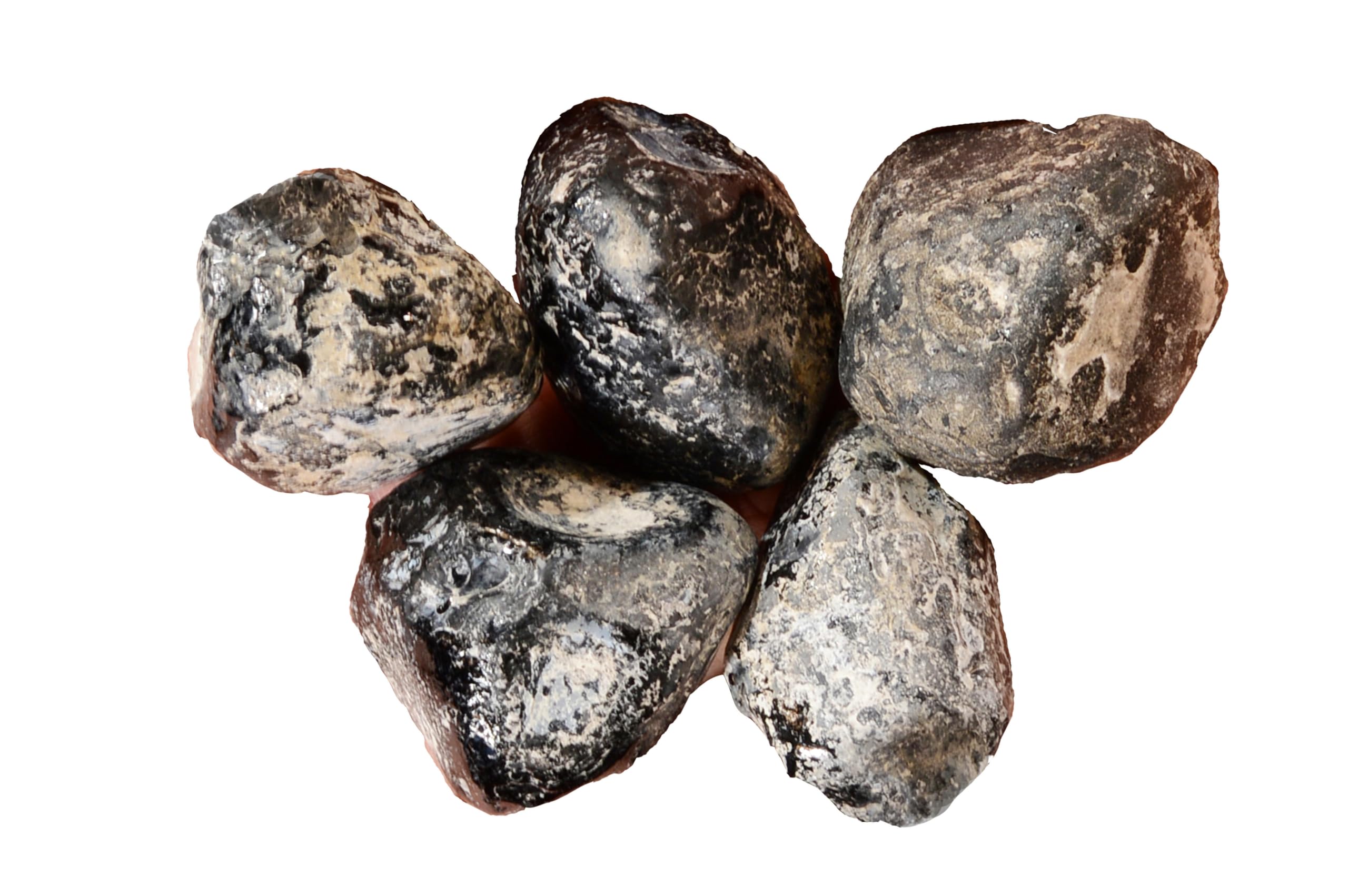 Kidz Rocks Rare Apache Tear 1 5/8