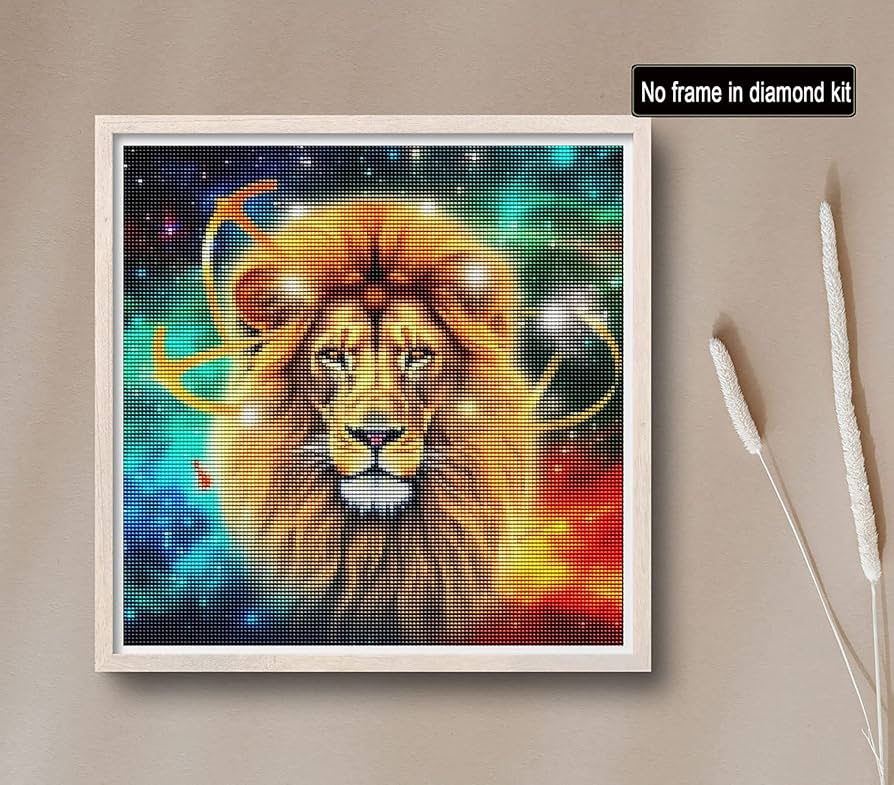 Amazon.com: Reofrey DIY Diamond Art Painting Kits for Adults