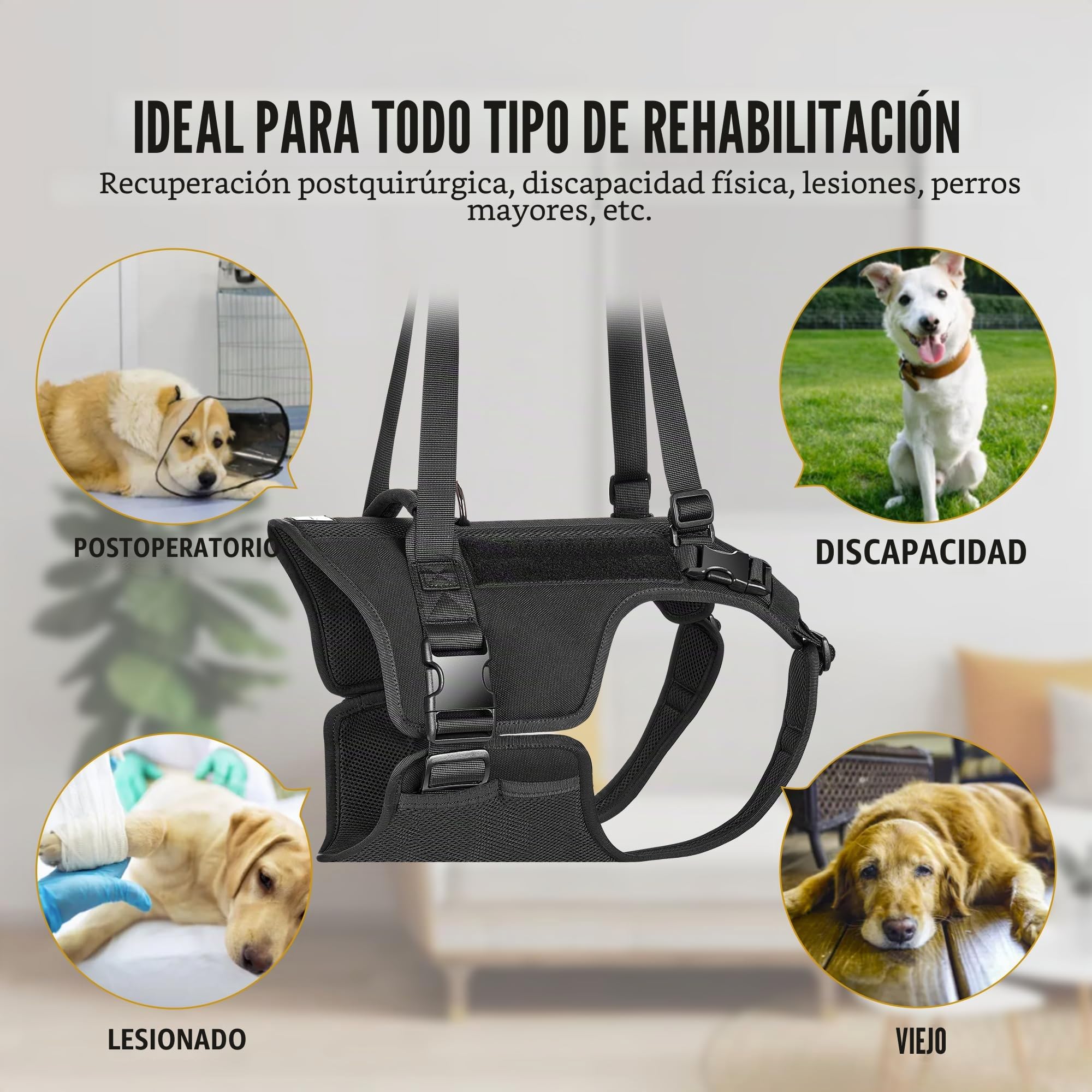 OneTigris Arnés de Apoyo Victus para Perros Medianos y Grandes - Elevación para Patas Traseras - Negro L