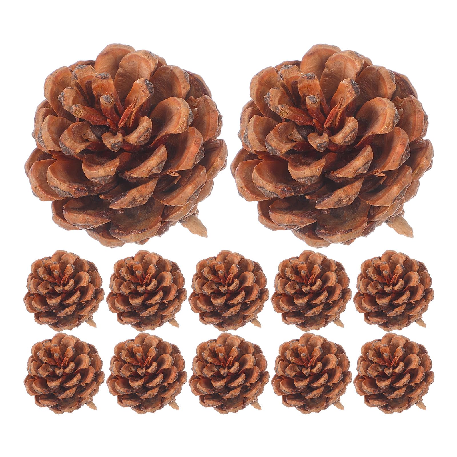 Ciieeo 130stücke Mini-Natur-kiefernzapfen für Herbst und Winterdekoration als Vasenfüller für Thanksgiving und Weihnachtsbastelarbeiten für DIY-projekte und Saisonale Dekorationen