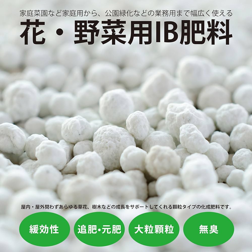 野菜つくりと施肥 野菜つくりと施肥 | 農山漁村文化協会 |本 | 通販 | Amazon