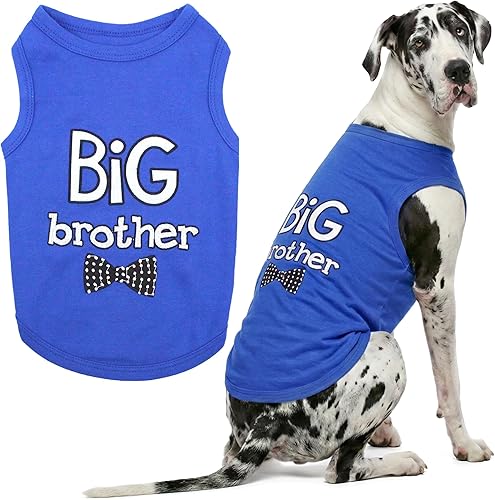 Miniatura 22 de Parisian Pet - Camiseta para perros y gatos, con texto en inglés Big Sister, 2XS