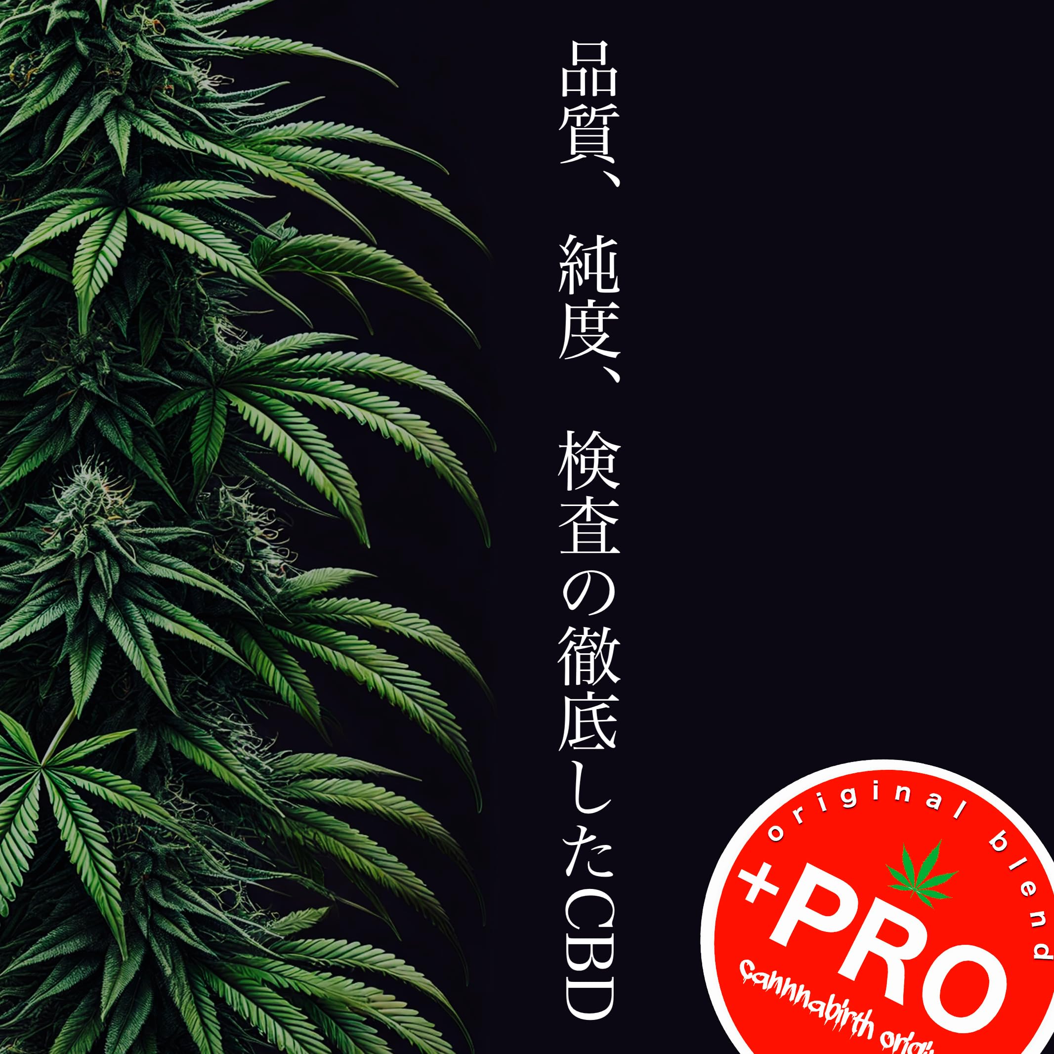 Amazon | 【在庫限り売り尽くしセール】ハイブリッド 「KUSH on KUSH