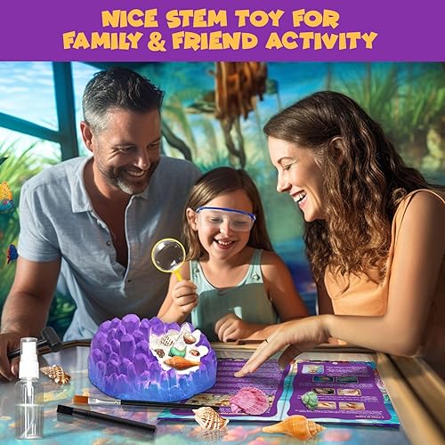 Miniatura 4 de Kit de excavación de fósiles oceánicos, desenterrar más de 20 conchas y caracoles reales, actividad educativa de ciencia divertida, juguete STEM