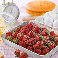 Vista 7 de TeamFar Sartén para lasaña, de acero inoxidable de 10.5 x 8 x 2 pulgadas, pequeña rectangular para hornear pasteles, cacerola para brownies,