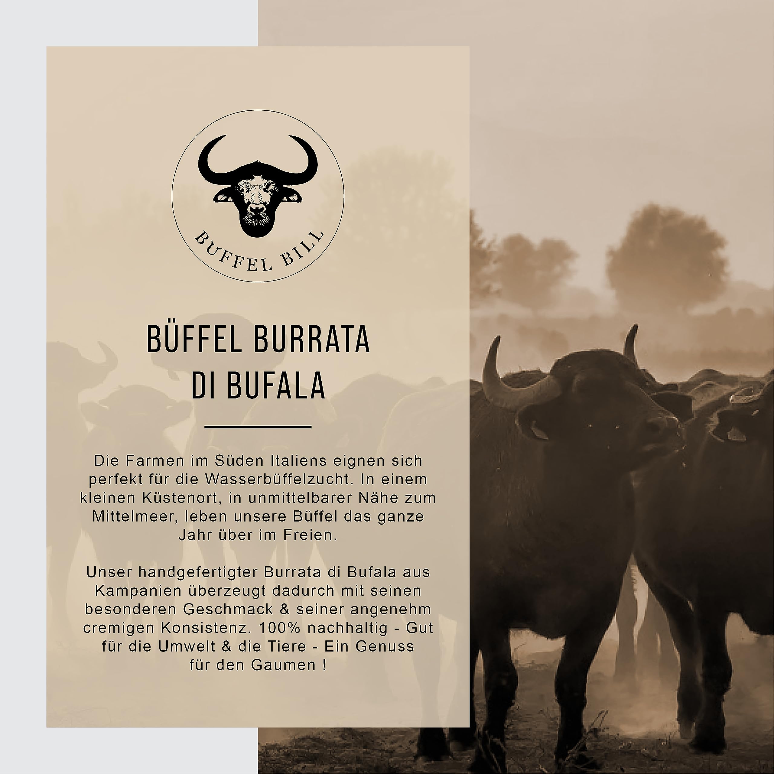 BÜFFEL BILL Burrata di Bufala - 4x125g I Cremig-weich & saftig I Aus 100% italienischer Büffelmilch I Geschmacksintensiv mit Zart-schmelzendem Kern
