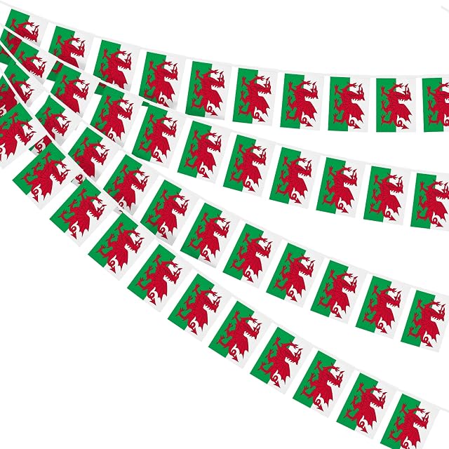 AhfuLife Wales Bunting 30pcs Flags, 10m Double Sided Welsh Patriotic Themed Bunting Banner for Qatar World Cup Football 2022 St David's Day Celebration Decorations (20 x 28 cm - 12m, 1 Pack)
