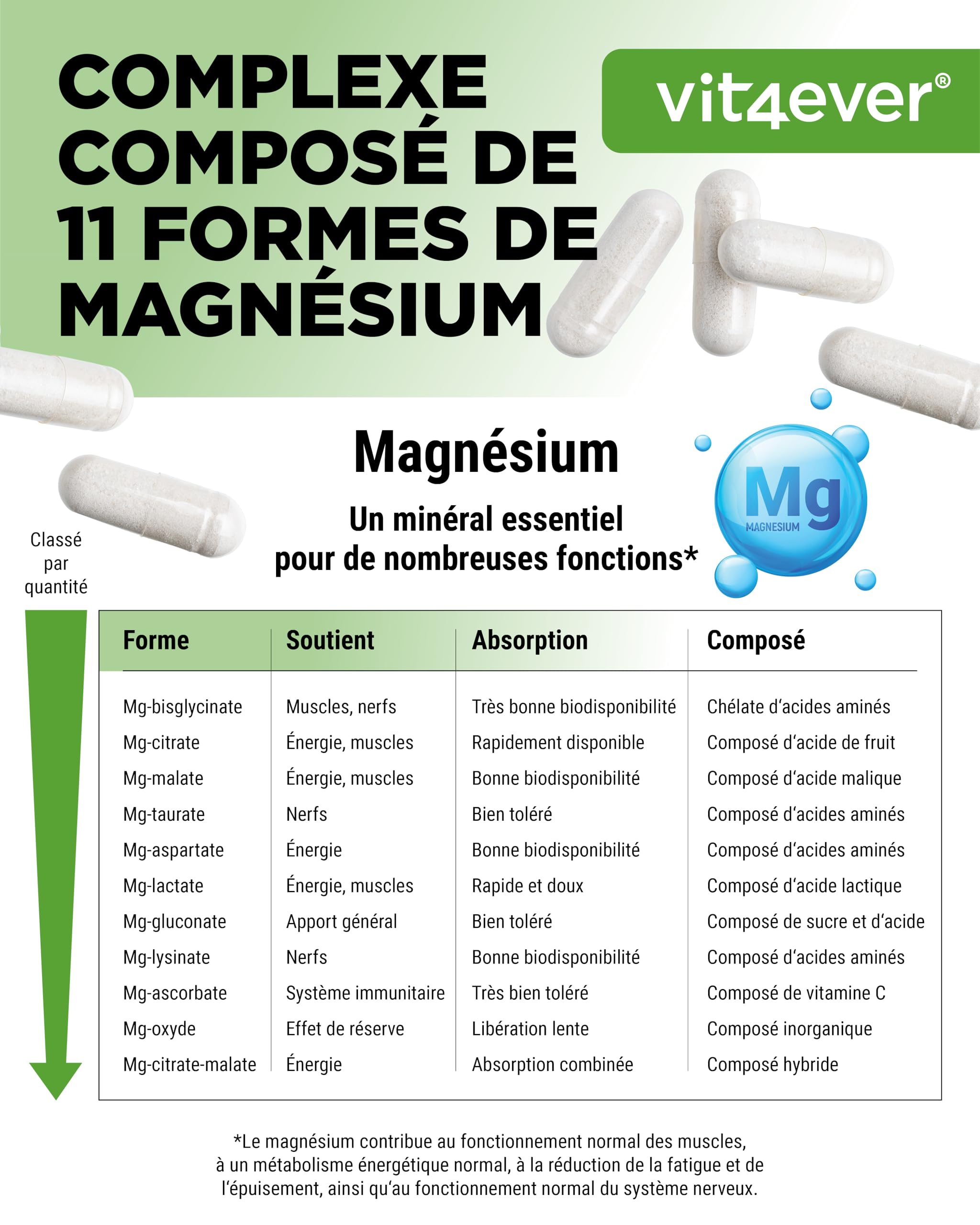 Complexe de Magnésium - 240 gélules - 11 composés de haute qualité - 408 mg de magnésium élémentaire par dose journalière - Hautement dosé - Vegan