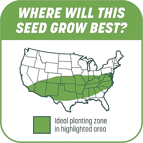 Miniatura 7 de Pennington Smart Patch - Mezcla de festuca alta, 10 lb