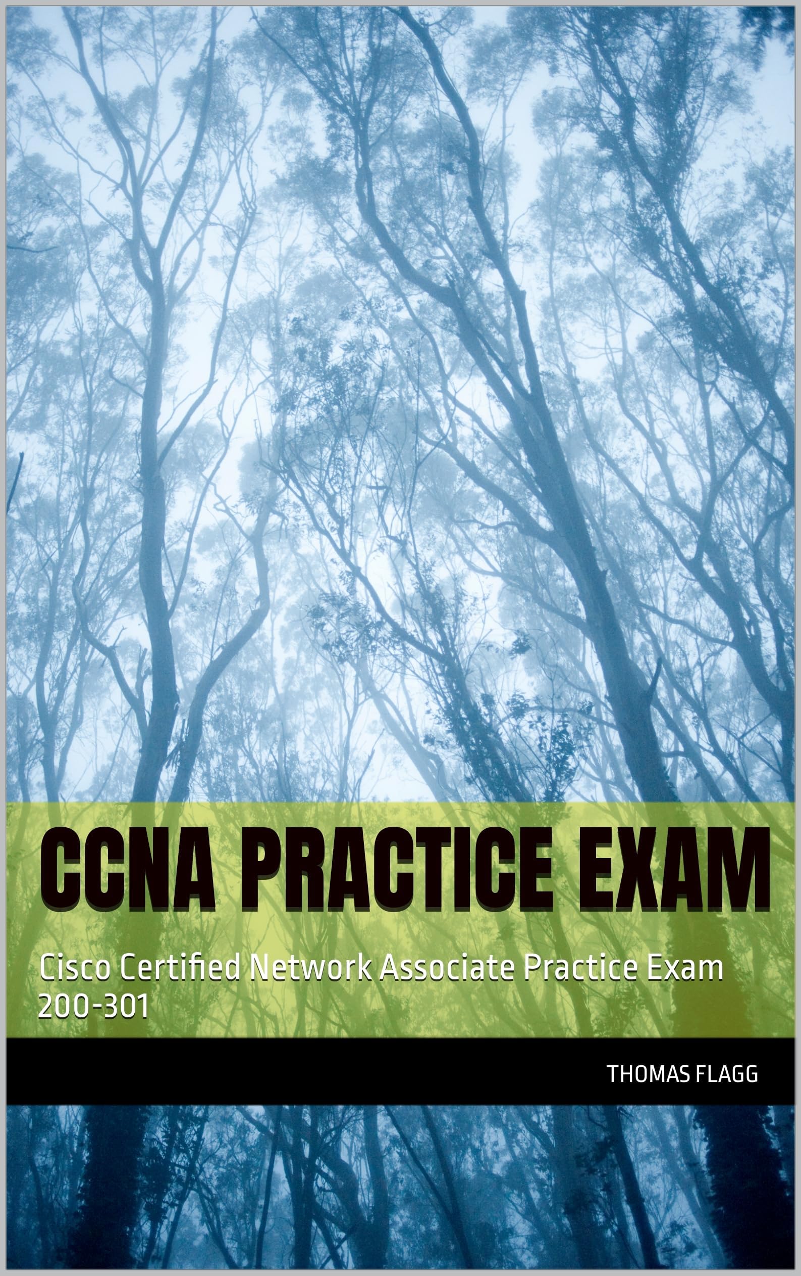 CCNA Practice Exam: Cisco Certified Network Associate Practice Exam 200-301 (CCNA Prep and Exam Book 1)