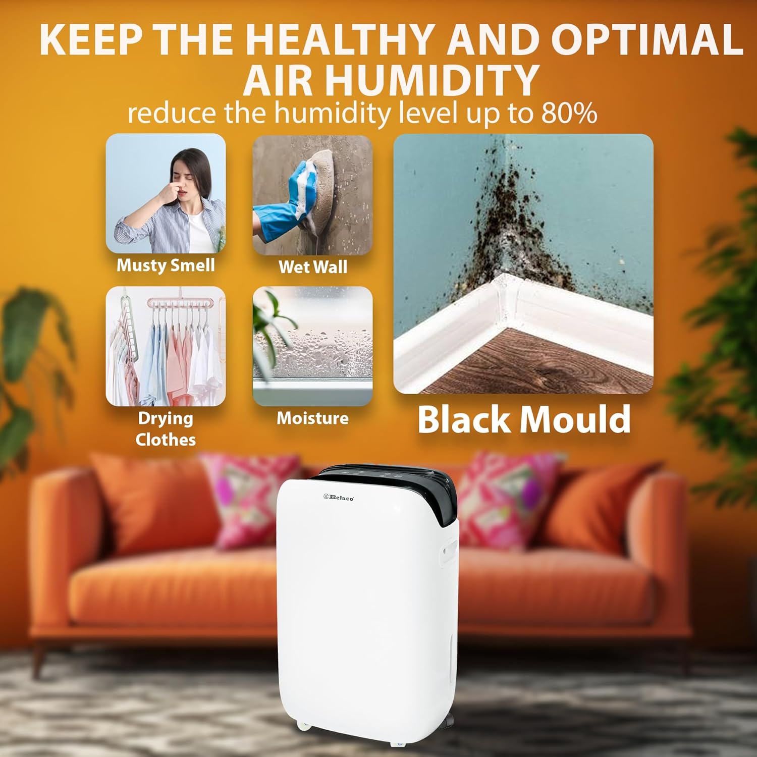 Image showing various applications of the dehumidifier for air quality