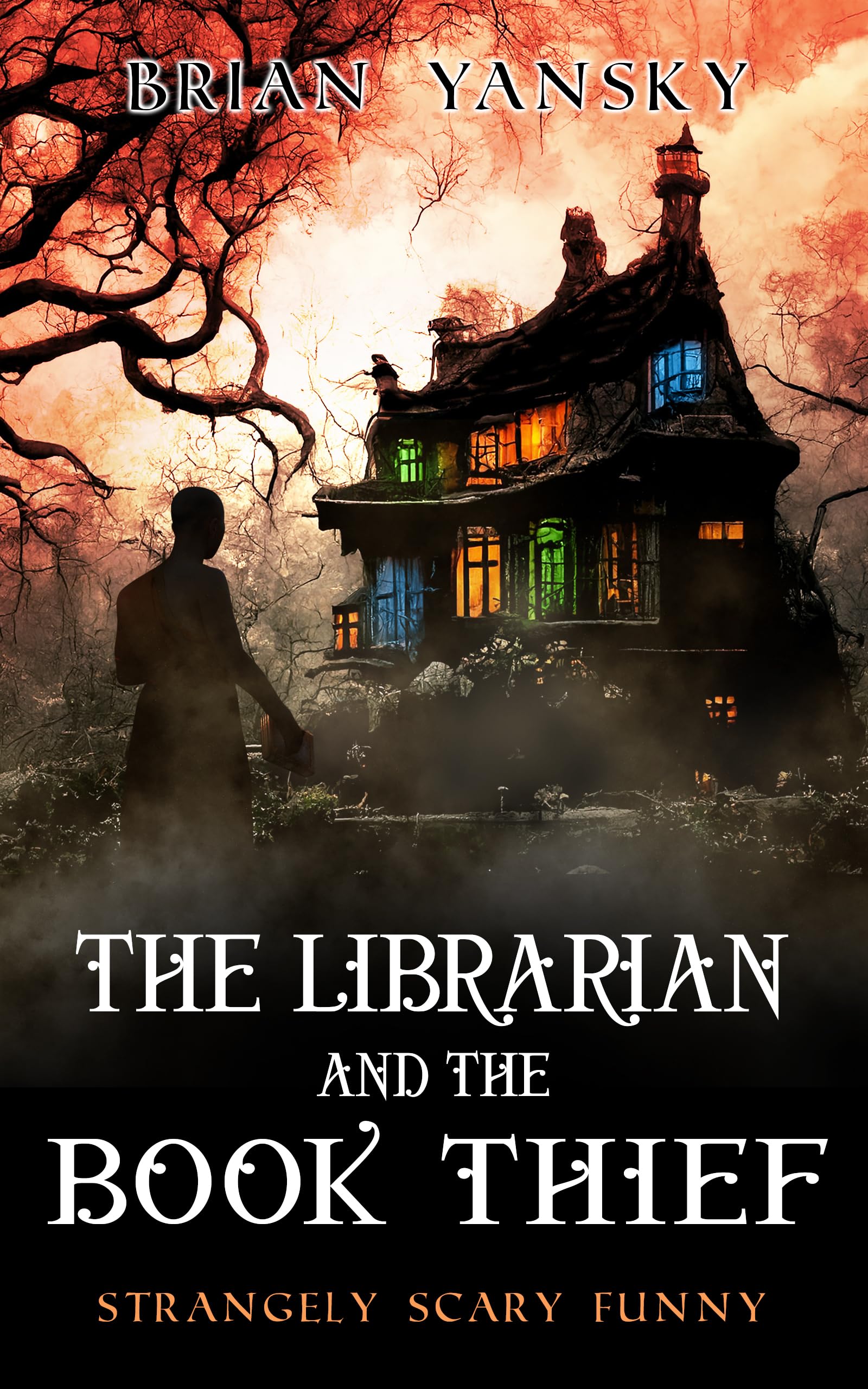 Cover of The Librarian and the Book Thief
