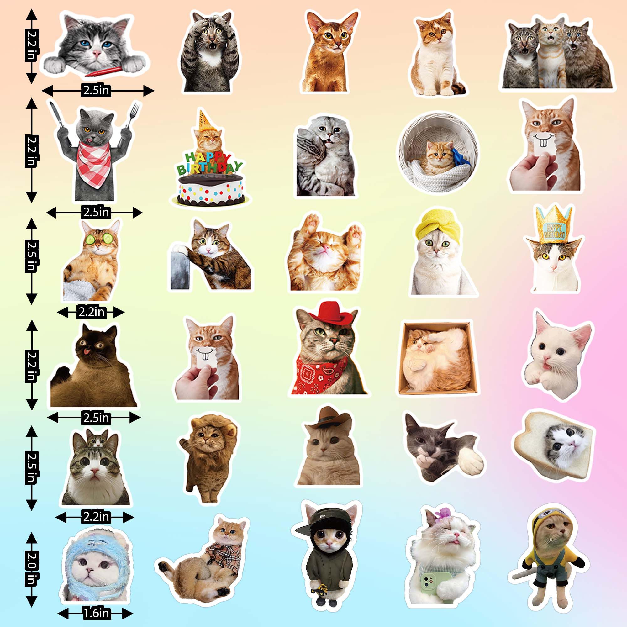 Zabawne naklejki z kotem na butelki z wodą, kawaii, wodoodporne naklejki na butelki z wodą, Kindle, bagaż, gitara, laptop, naklejki winylowe dla dzieci, dziewcząt, nastolatków, małych dzieci i