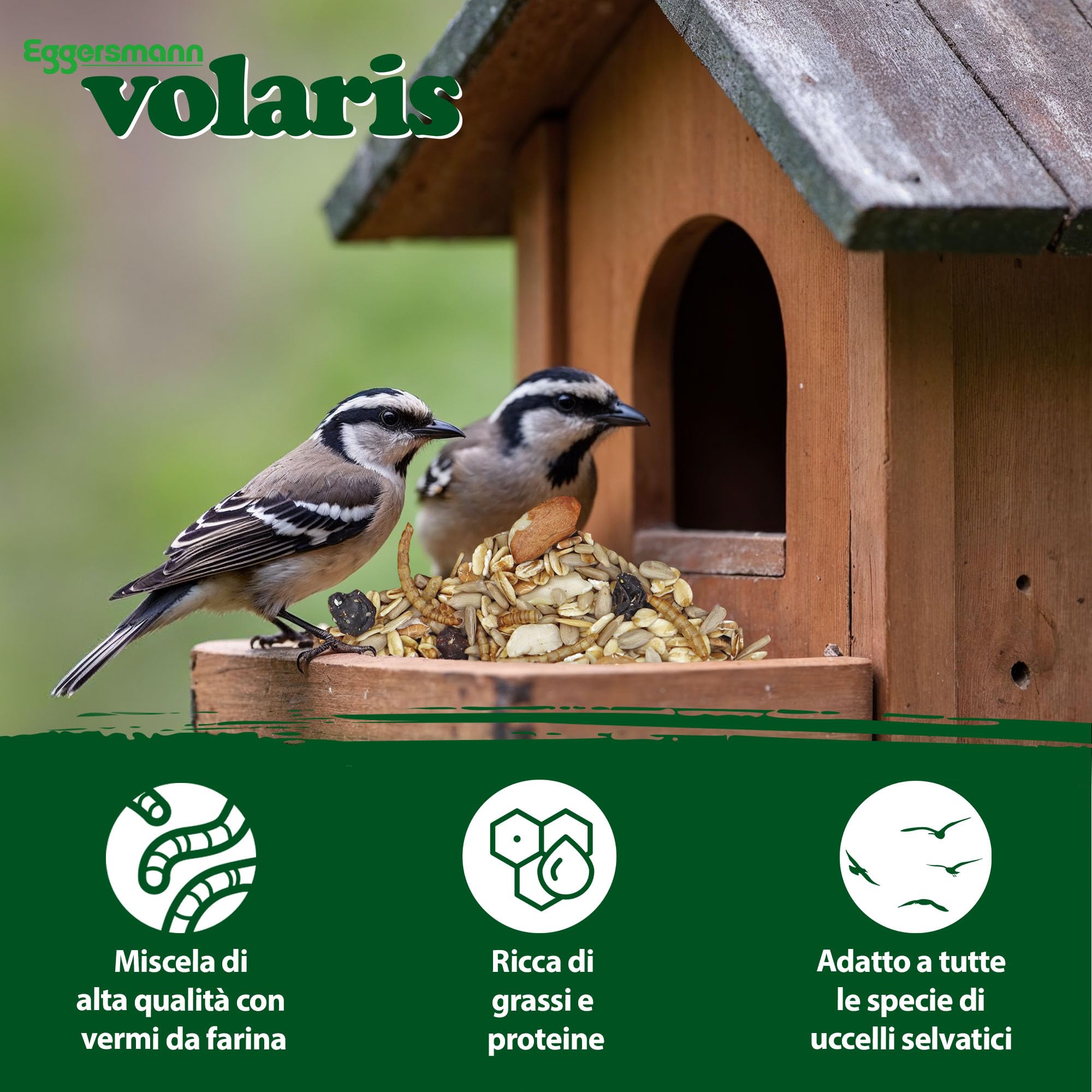 Eggersmann volaris Grani da terrazza con insetti, 10 kg, senza guscio, mangime per uccelli selvatici con vermi di farina, semi di girasole, UVM. Mangime per tutto l'anno, ricco di proteine ed energia,