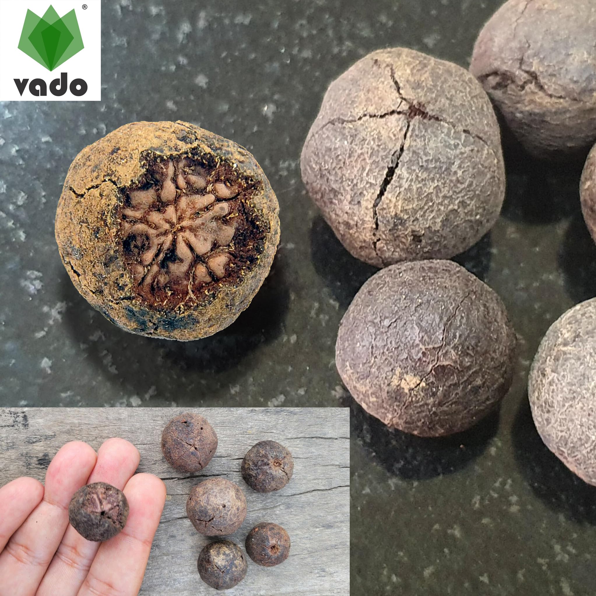 Vado Nepali Rudraksha Fruit (Pack of 9 Beads) रुद्राक्ष फल with Natural Untreated Raw Shell for Mala & Bracelet (9) 3
