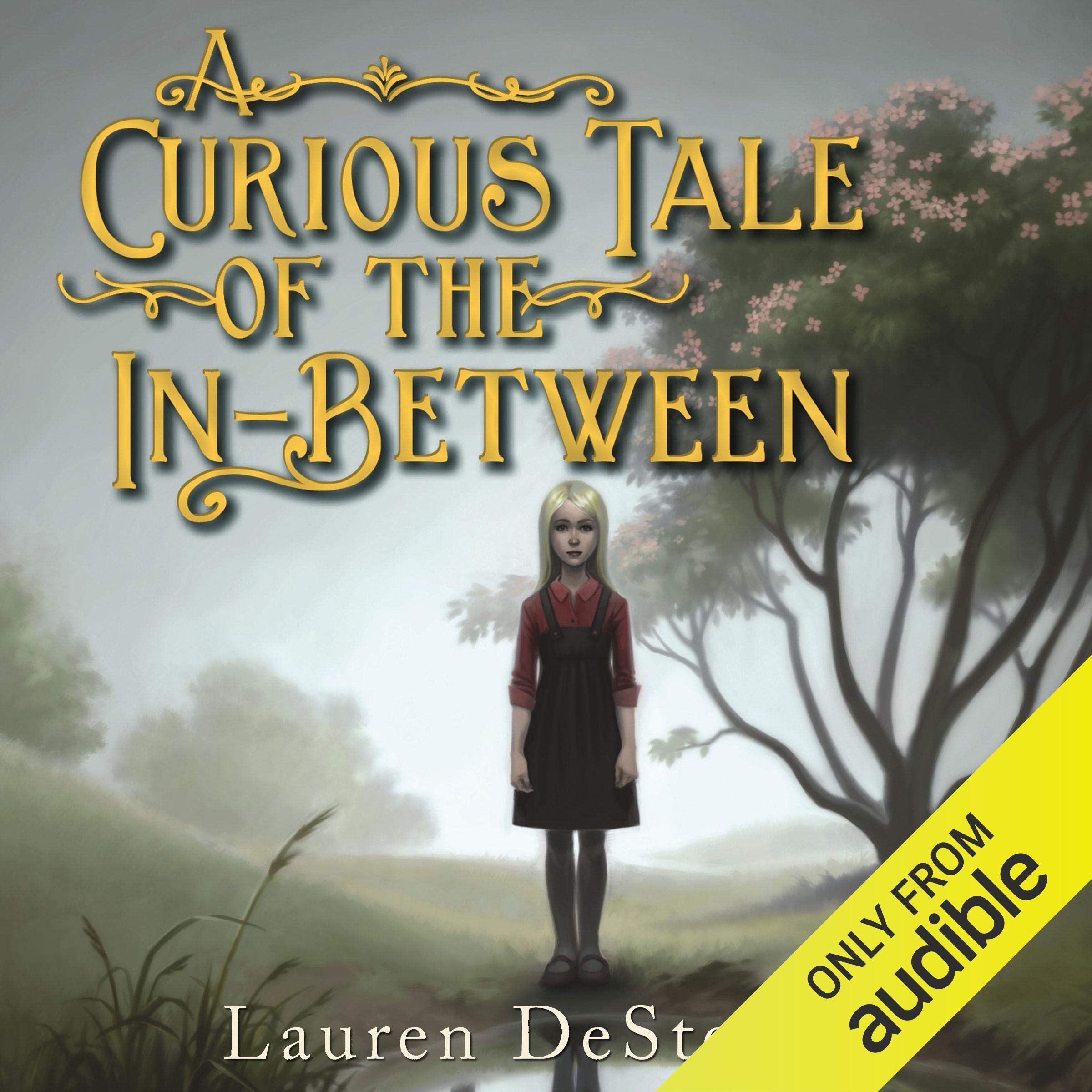 Cover art for A Curious Tale of the In-Between