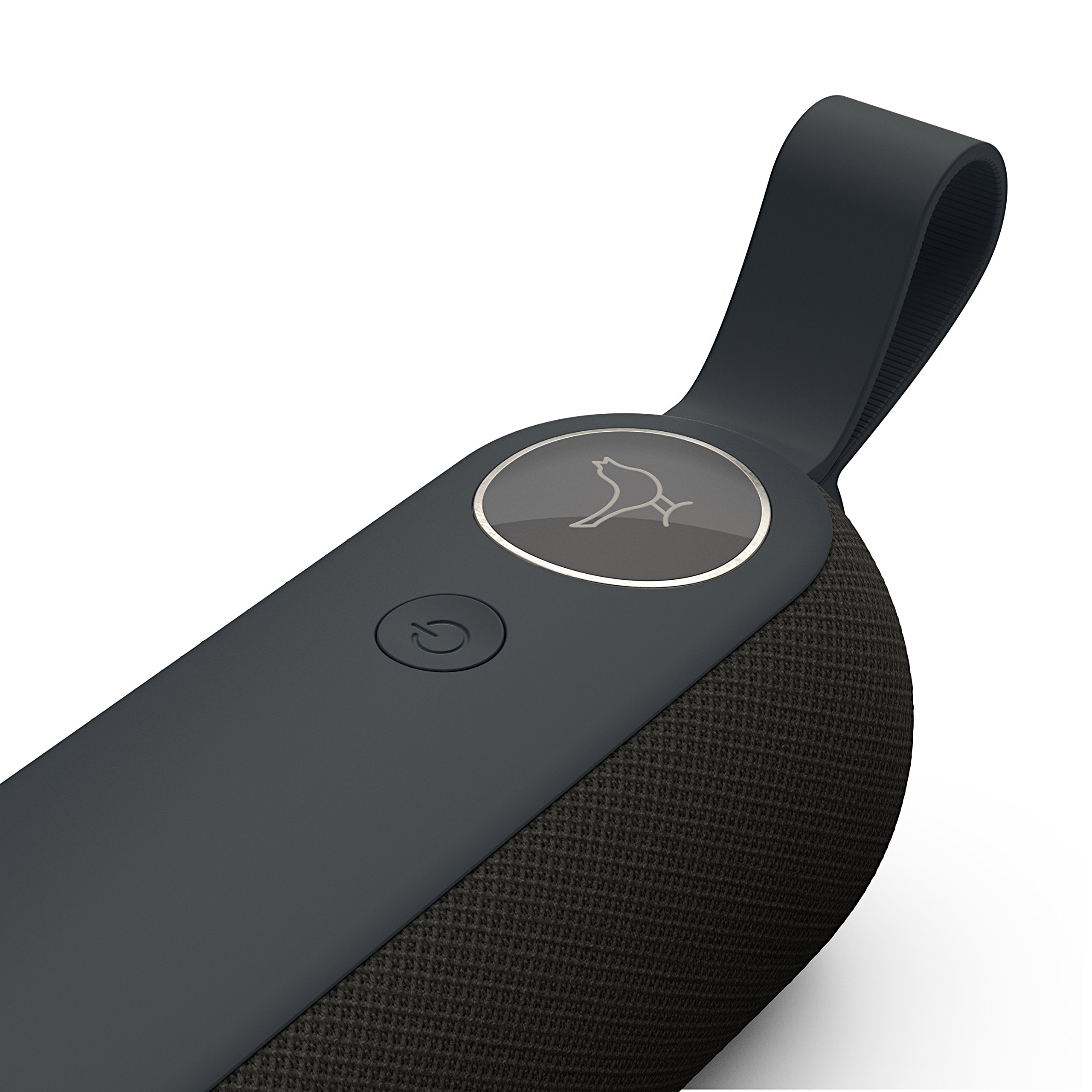 Libratone TOO Bluetooth スピーカー CARIBBEAN Libratone Too Bluetooth Portable Speaker Reviews, Pros and