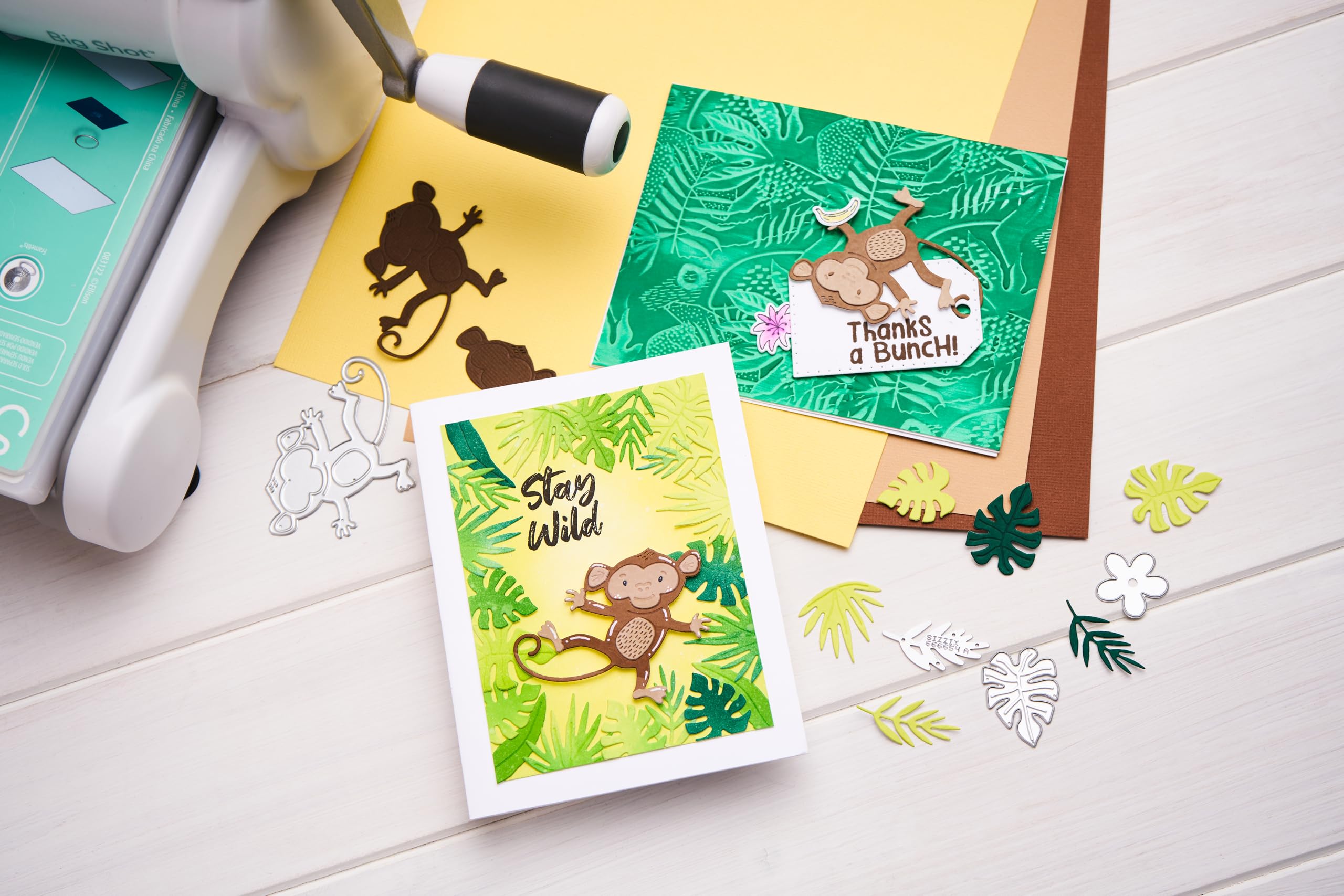 Sizzix® Thinlits® Die Set 14PK - Stay Wild #2 by Catherine Pooler, Silver - Image 4