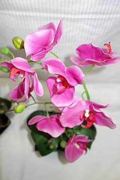 装飾人工Orchid Flower Arrangement、シックでカラーで、ピンク花ポット