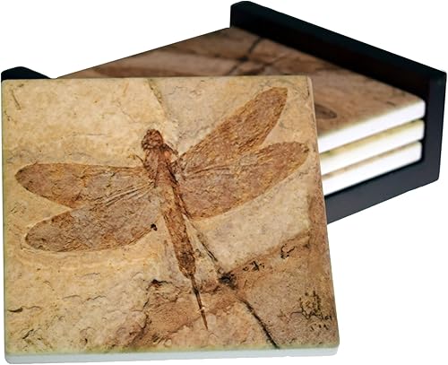 Fossil Dragonfly Images - 4-Piece Square Ceramic Tile Coaster Set - Caddy Included