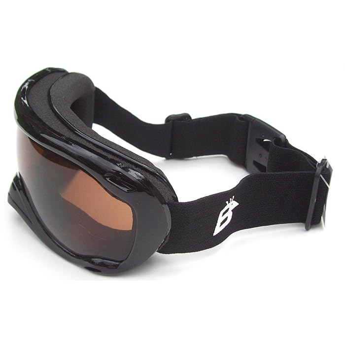 Buy Black Ski Goggles Double Lens Dual Vented Anti Fog New These Have