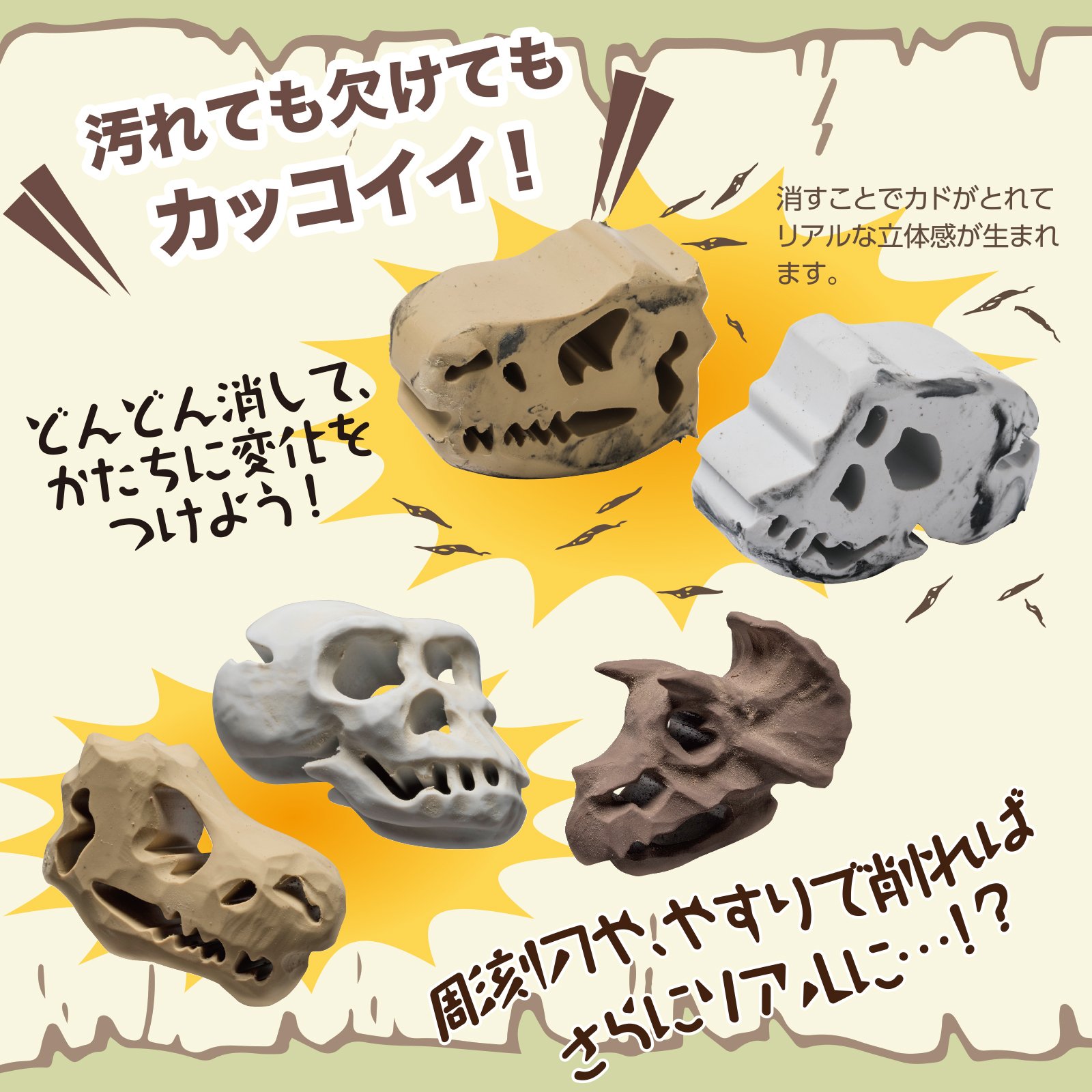 Amazon.co.jp: シード 消しゴム 化石ケシゴム トリケラトプス 5個 