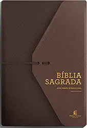 Bíblia NVI, Couro Soft, Marrom Artesanal, Espaço para Anotações