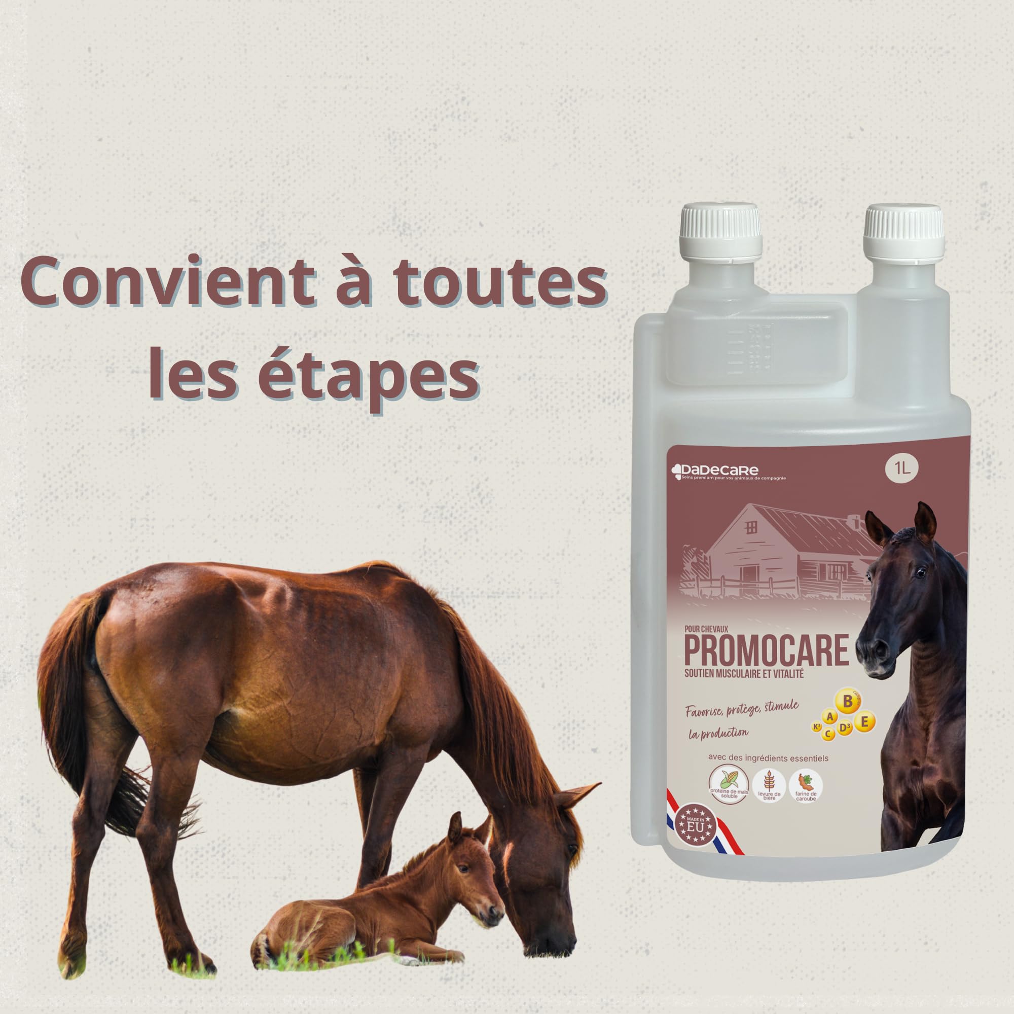 Promocare - Vitamines pour Chevaux 1 L avec acides aminés Essentiels et antioxydants - Complexe vitaminique B, E, C et A - Soutien au métabolisme, à l'énergie, à la récupération