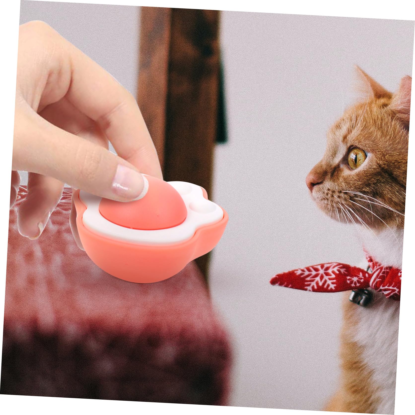 VANZACK 10sätze Rotierender Katzenminze Spielzeug Für Katzen Selbstamüsierendes Spielzeug Und Fördert Bewegungsfreude Und Wohlbefinden Haustiere