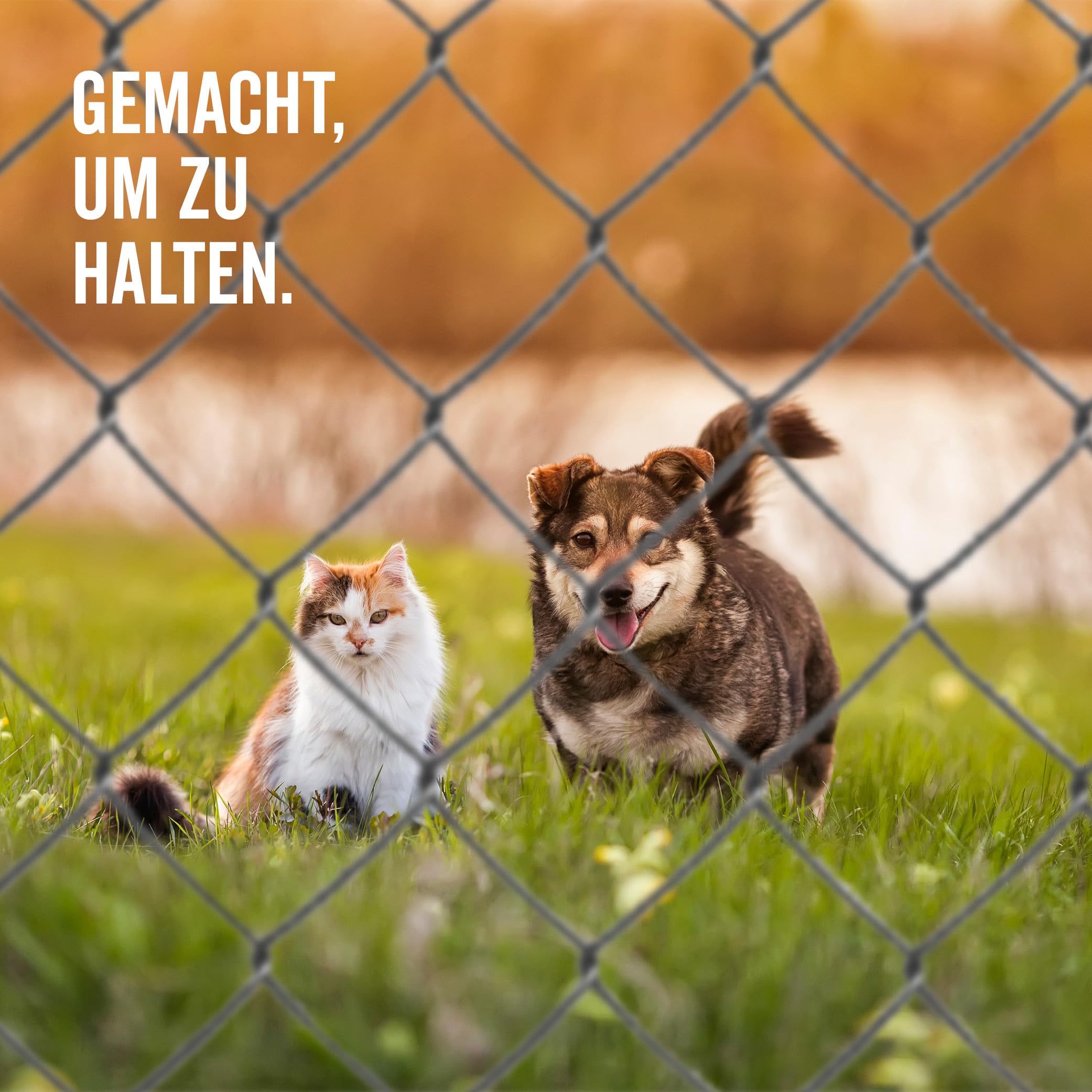 Alberts 604660 Maschendrahtgeflecht | Maschendrahtzaun, Hundezaun, Gartenzaun, Hasendraht | Höhe: 150 cm, Länge: 15 m, Draht-Ø 2,6 mm | Anthrazit