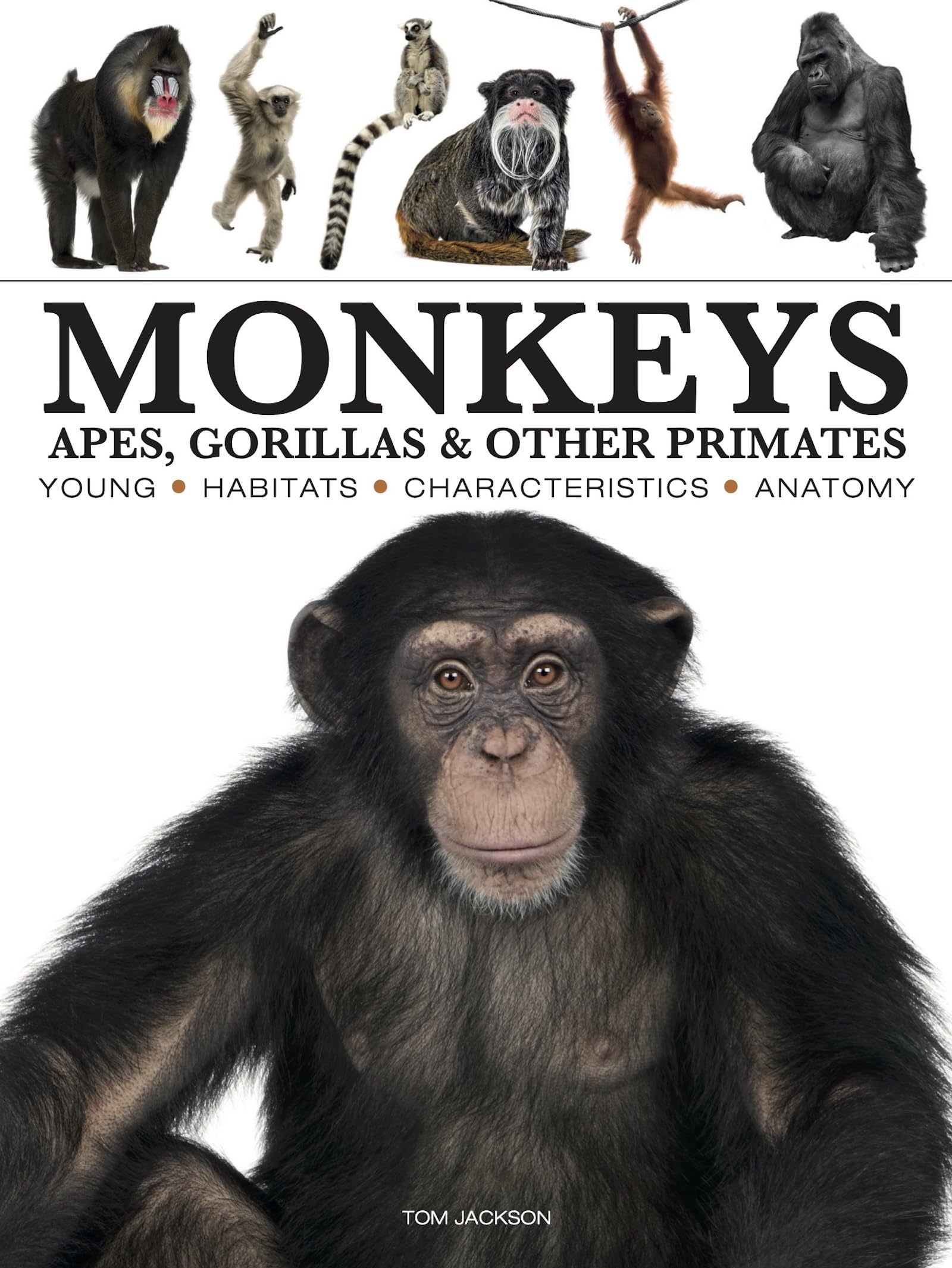 Monkeys (Mini Encyclopedias): Apes, Gorillas & Other Primates