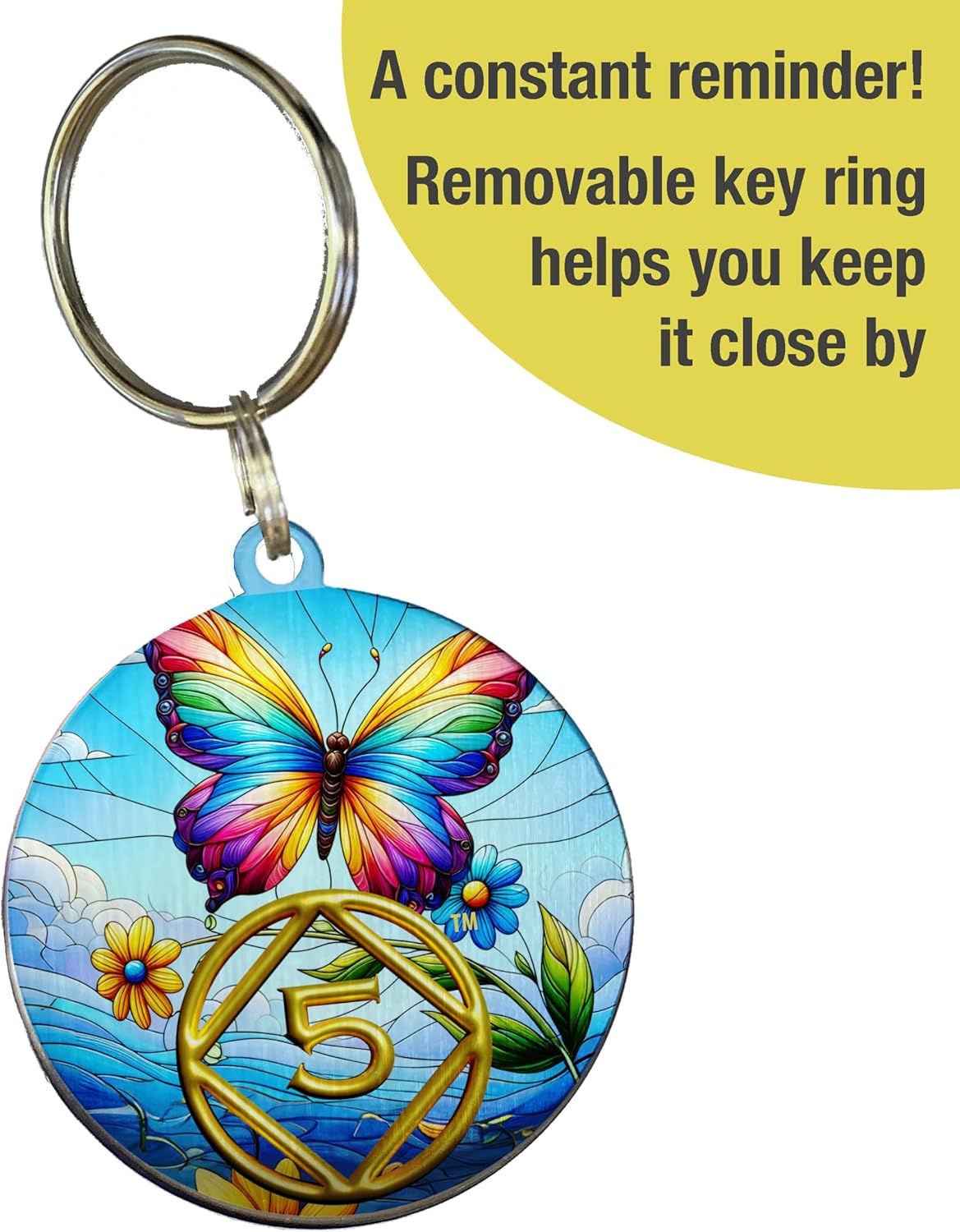 6 Year Recovery Coin, NA Narcotics Anonymous Chip, Sobriety Butterfly Chip, NA Coin