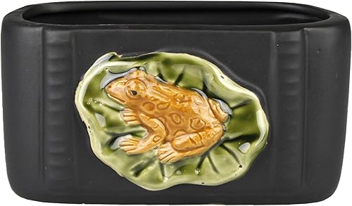 Miniatura 7 de Live Lucky - Arreglo trenzado de bambú con maceta de rana de cerámica negra, planta de interior de Lucky Stalks para buena suerte, fortuna, Feng