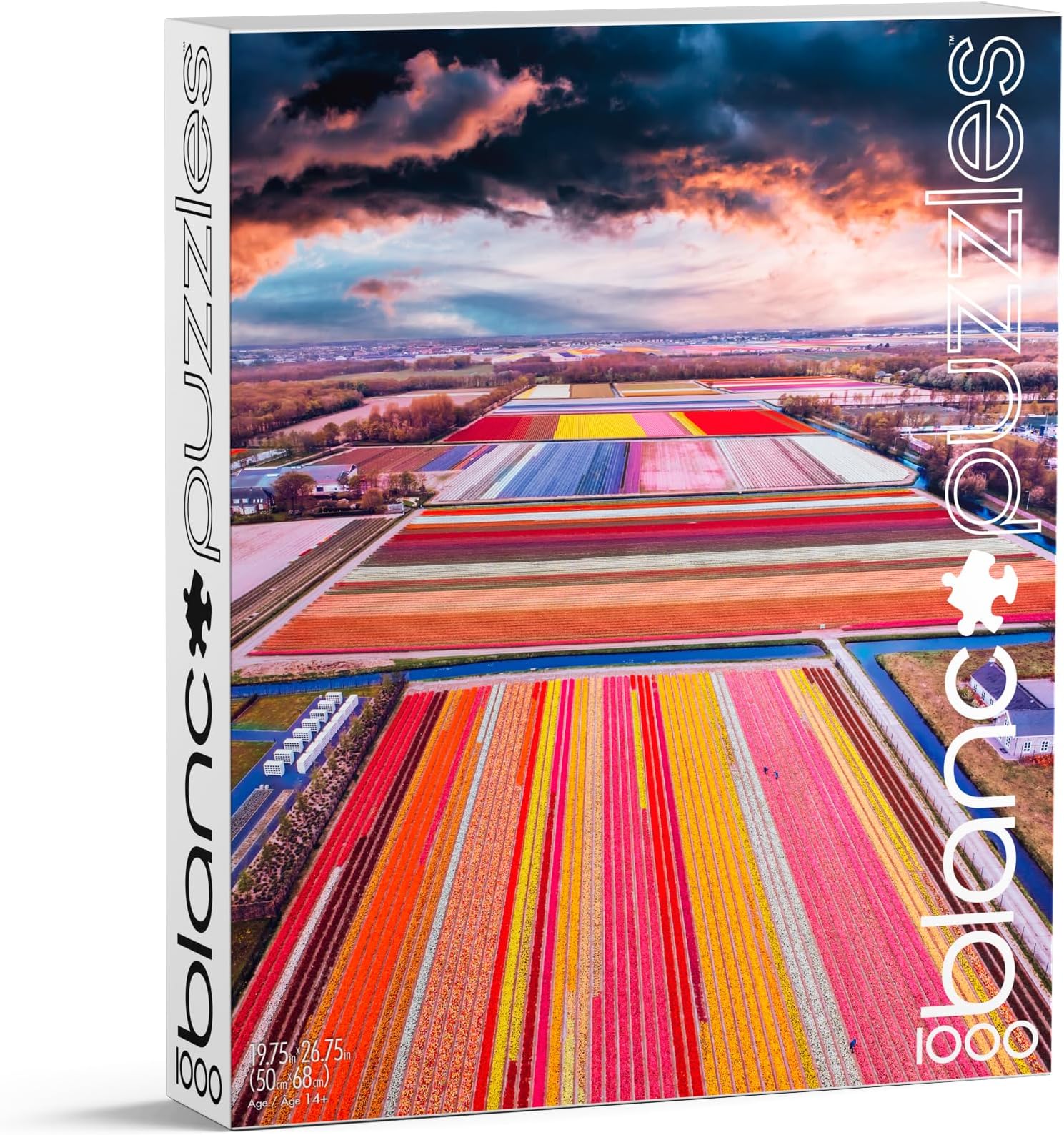 Buffalo Games - blanc - Kristina Makeeva - Infinity Fields of The Netherlands - 1000 Piece Jigsaw Puzzle for Adults -Challenging Puzzle Perfect for Game Nights - Size is 26.75 x 19.75