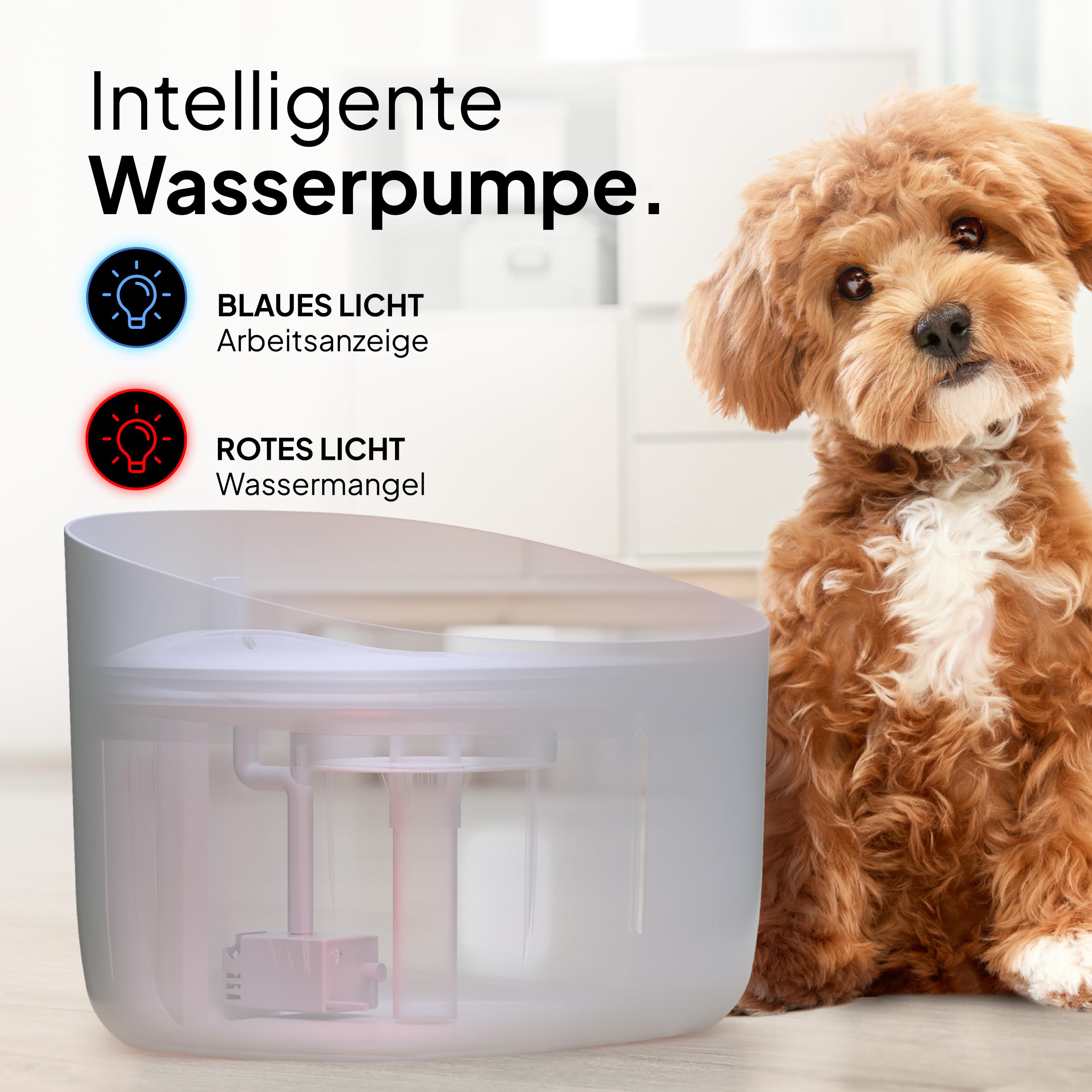 Pretty Paw Trinkbrunnen für Hunde mit 7L Wassertank - Super leiser Hunde Trinkbrunnen - BPA-freier Hundebrunnen mit Filter & LED - Leicht zu reinigender Dog Wasserspender