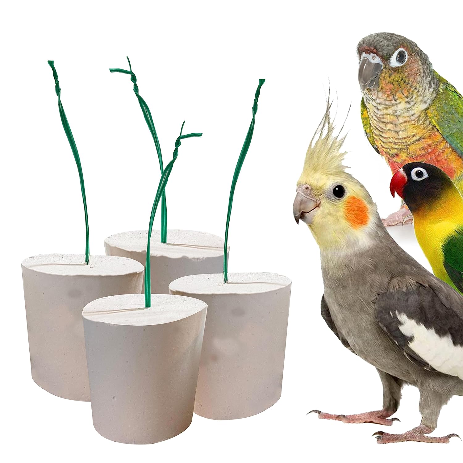 Congo® High Calcium Block for Birds Bird Food and Supplement Easy