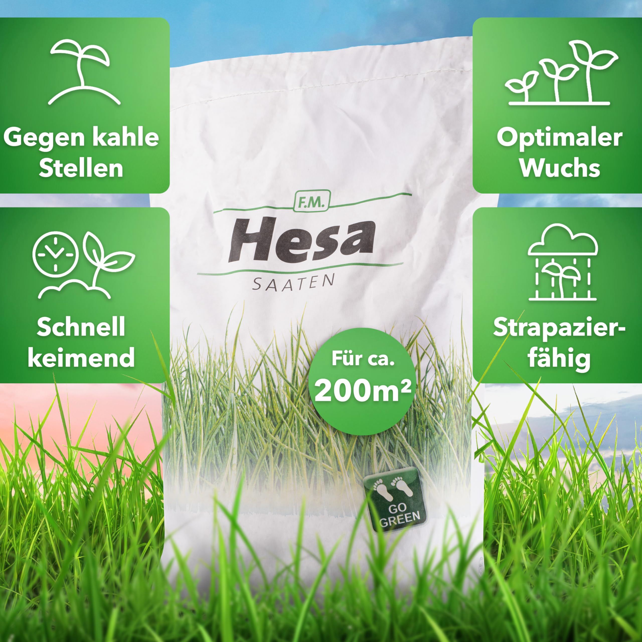 Hesa Sportrasen Strapazierrasen Rasensamen, 5 kg für ca. 200 m², schnellkeimende Rasensaat in RSM-Qualität für Neuansaat & Nachsaat, robuste dichte Grasnarbe für Spiel, Garten & Sport, Made in Austria