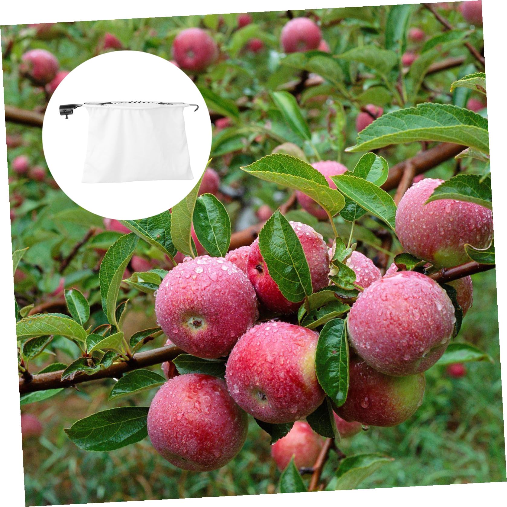 1pezzi Raccoglifrutta da Giardino Cesto Raccoglifrutta Attrezzo per Raccolta Frutta Portatile per Frutteto Raccoglitrice di Frutta