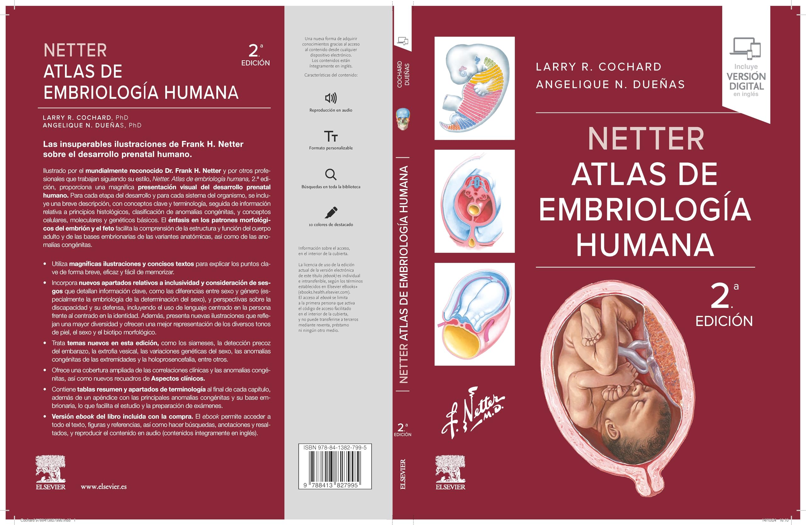 Netter Atlas de embriología humana
